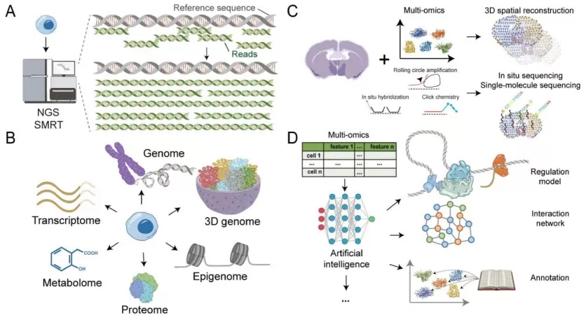 Figure 7. Future directions in single-cell and spatial genomics (Wang et al., 2025)